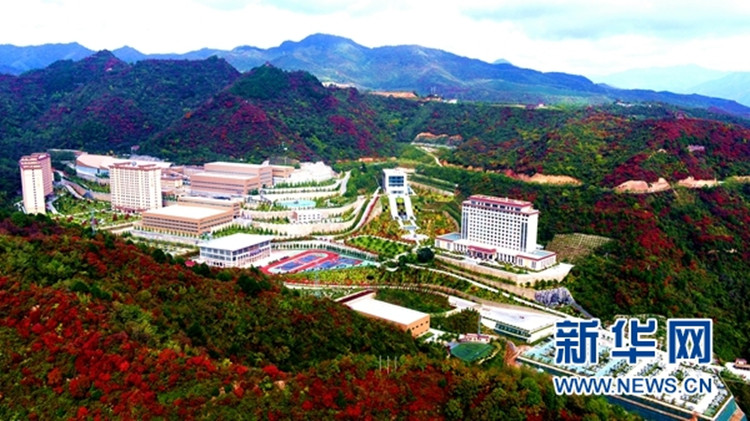 202011121605143154326223.jpg 2_副本.jpg