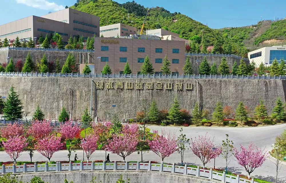 202302161676529337276904.jpg 2.jpg